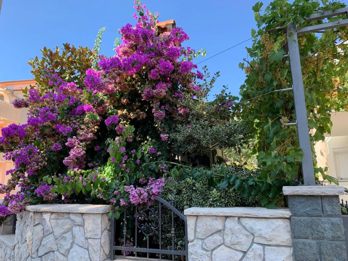 Apartments Dumancic Biograd Na Moru Eksteriør billede